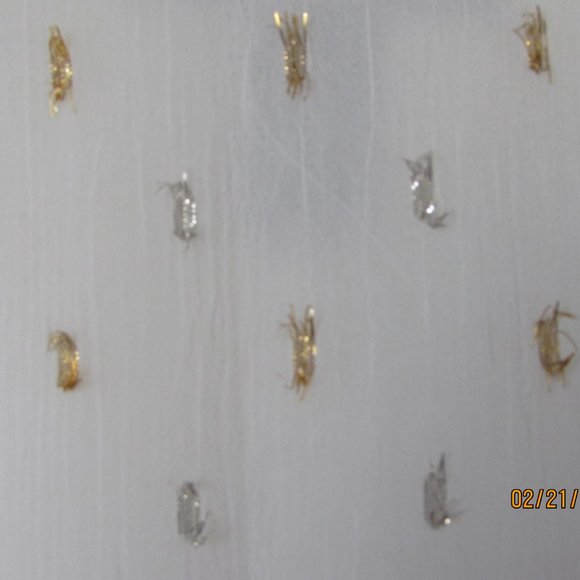 Aqua Camisole Style Cream with Sparkle - Picture 11 of 11